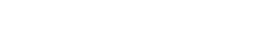 Phương Nam Security Solutions